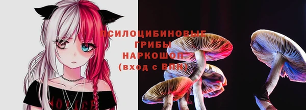 тгк Зеленодольск