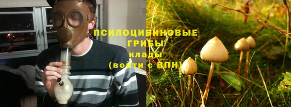 эйфоретик Зерноград
