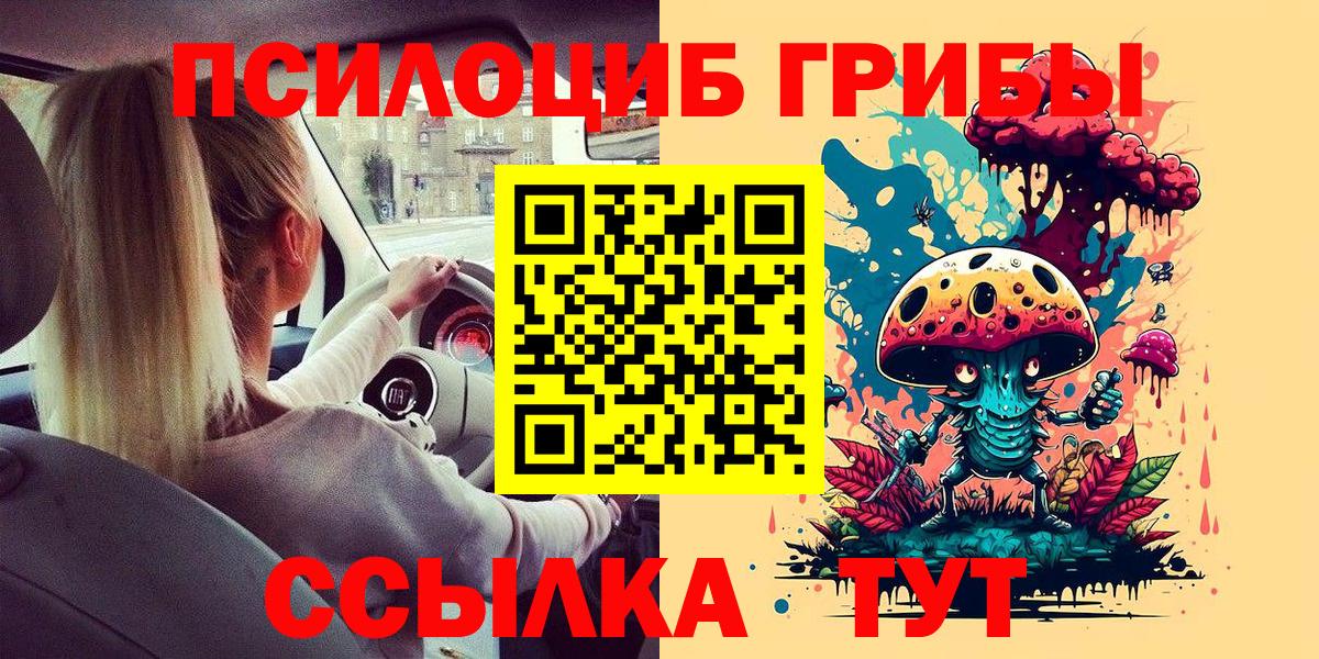 Галлюциногенные грибы Psilocybe  сколько стоит  Вход с VPN  Искитим  Псилоцибиновые грибы MAGIC MUSHROOMS 